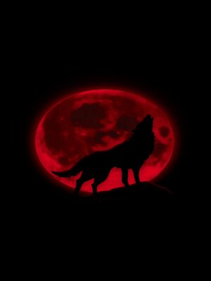 cover image of The Wolf